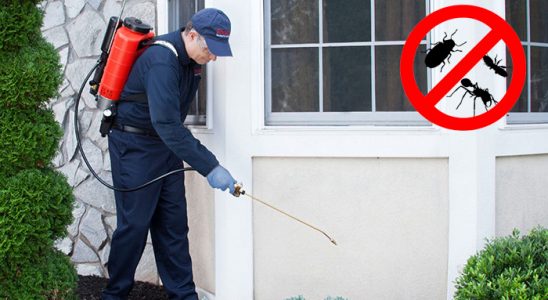 İyidere Hamam Böceği İlaçlama böcek ilaçlama ve haşere kontrolü — ilaclama-tr.com